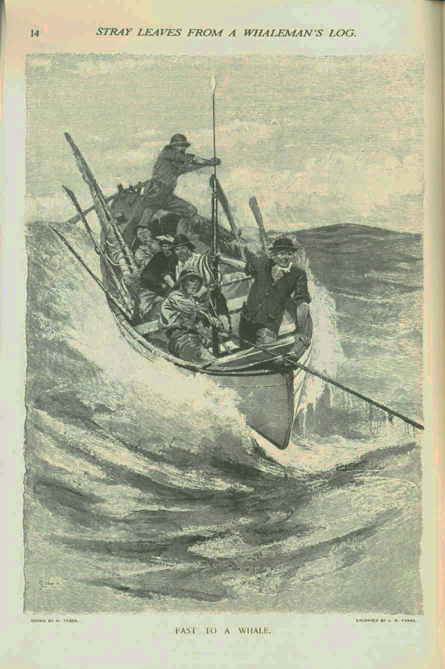 19th century whaling tales. vist0089b